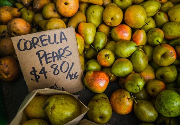 Digital Marketing Course